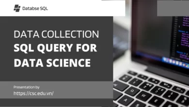 Quản lý dữ liệu trong Data Science