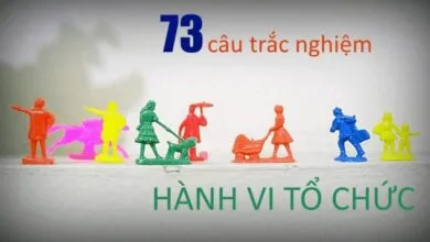 73 câu trắc nghiệm Hành vi tổ chức (có đáp án kèm theo)