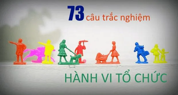 73 câu trắc nghiệm Hành vi tổ chức (có đáp án kèm theo)