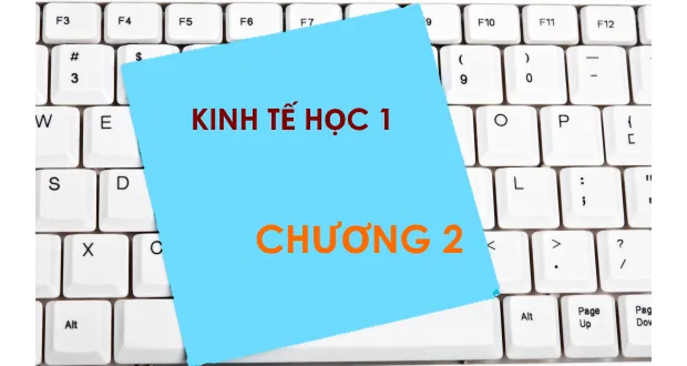Bộ đề thi trắc nghiệm môn Kinh tế học - Chương 2: Thị trường, cung, cầu, độ co dãn, và can thiệp chính phủ