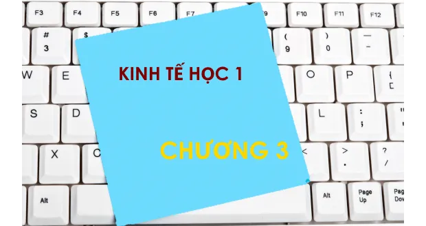 Bộ đề thi trắc nghiệm môn Kinh tế học - Chương 3: Lựa chọn của người tiêu dùng
