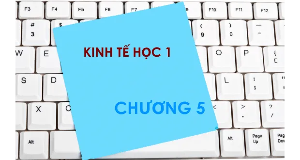 Bộ đề thi trắc nghiệm môn Kinh tế học - Chương 5: Tổng quát về kinh tế vĩ mô