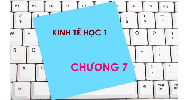 Bộ đề thi trắc nghiệm môn Kinh tế học - Chương 7: Cân bằng trong thị trường hàng hoá ở ngắn hạn