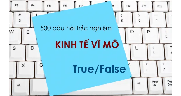 500 câu hỏi trắc nghiệm Kinh tế vĩ mô