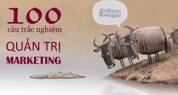 100 câu trắc nghiệm Quản trị Marketing (có đáp án kèm theo)