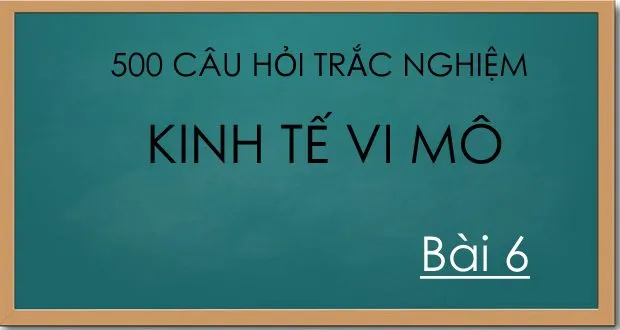 500 câu hỏi trắc nghiệm kinh tế vi mô