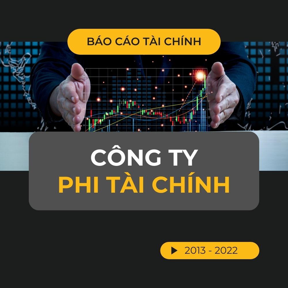 Dữ liệu BCTC của các công ty phi tài chính, cập nhật đến 2022