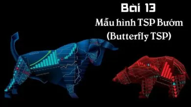 Hướng dẫn xác định và sử dụng mẫu hình TSP bướm trong giao dịch