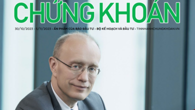 Báo đầu tư chứng khoán