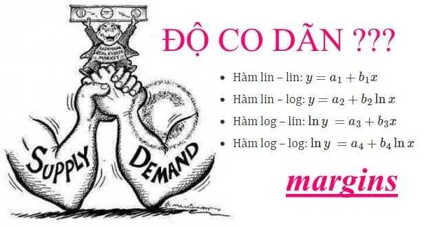 Độ co dãn của hàm cầu được tính qua các options dydx; eyex; eydx; dyex của lệnh margins trên Stata. Độ co dãn của hàm cầu sẽ dc tinh khác nhau ở các mô hình