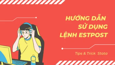 Hướng dẫn sử dụng lệnh estpost