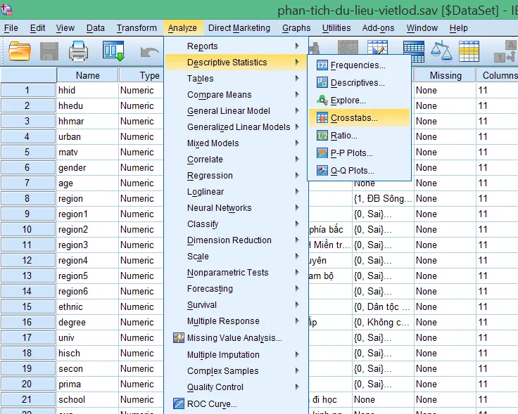 Hướng dẫn truy cập công cụ kiểm định chi bình phương trong SPSS Giao diện menu Analyze - Descriptive Statistics - Crosstabs trong SPSS