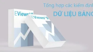 Tổng hợp các kiểm định dữ liệu bảng trên EViews