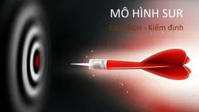 Cách lựa chọn và kiểm định mô hình SUR