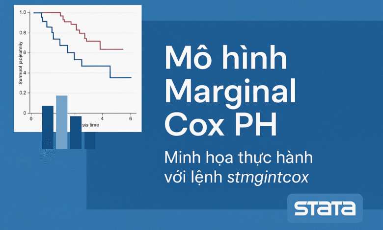 Hướng dẫn thực hiện Marginal Cox PH Model