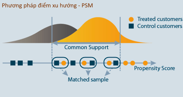 Giới thiệu và minh họa phương pháp điểm xu hướng - PSM (Propensity Score Matching)