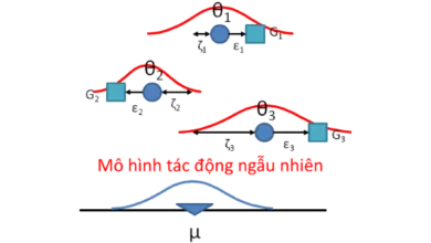 Mô hình tác động ngẫu nhiên RE
