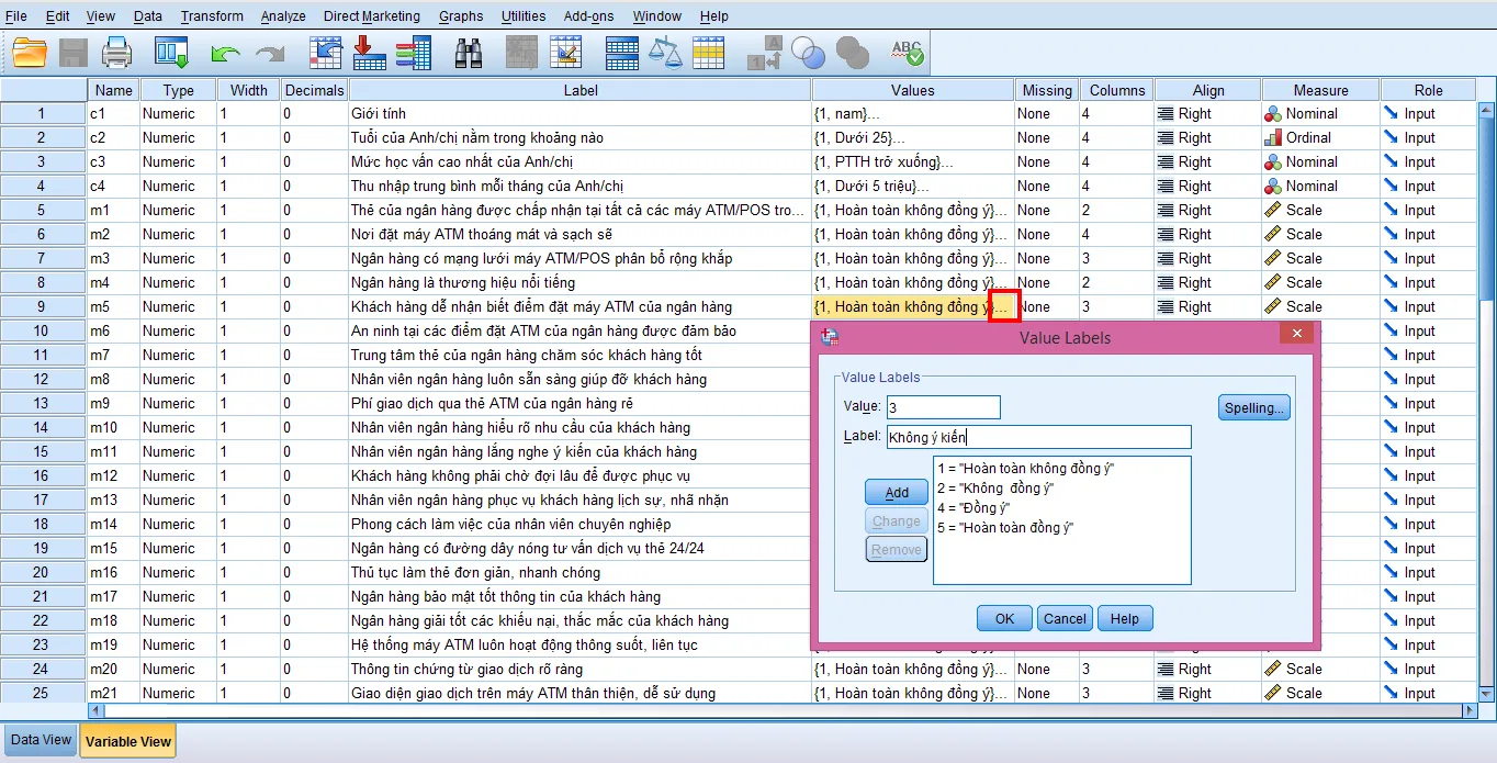 Ví dụ cách thiết lập Value Labels cho biến phân loại Giao diện mã hóa giá trị biến trong Variable View của SPSS
