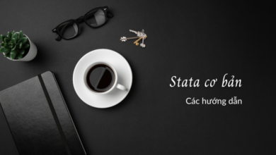Stata cơ bản: giới thiệu lý thuyết và minh họa thực hành