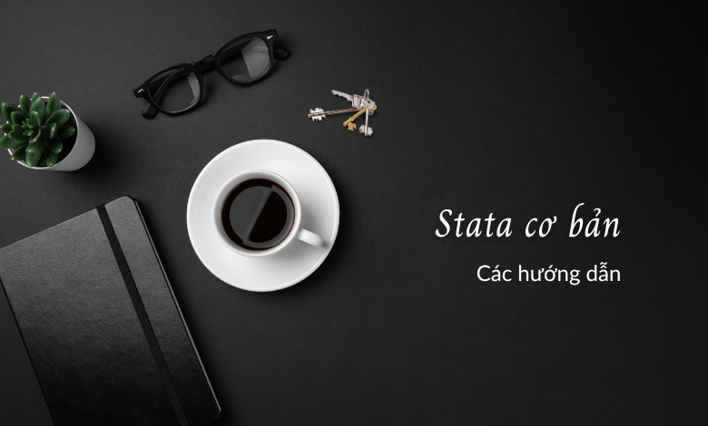 Stata cơ bản: giới thiệu lý thuyết và minh họa thực hành