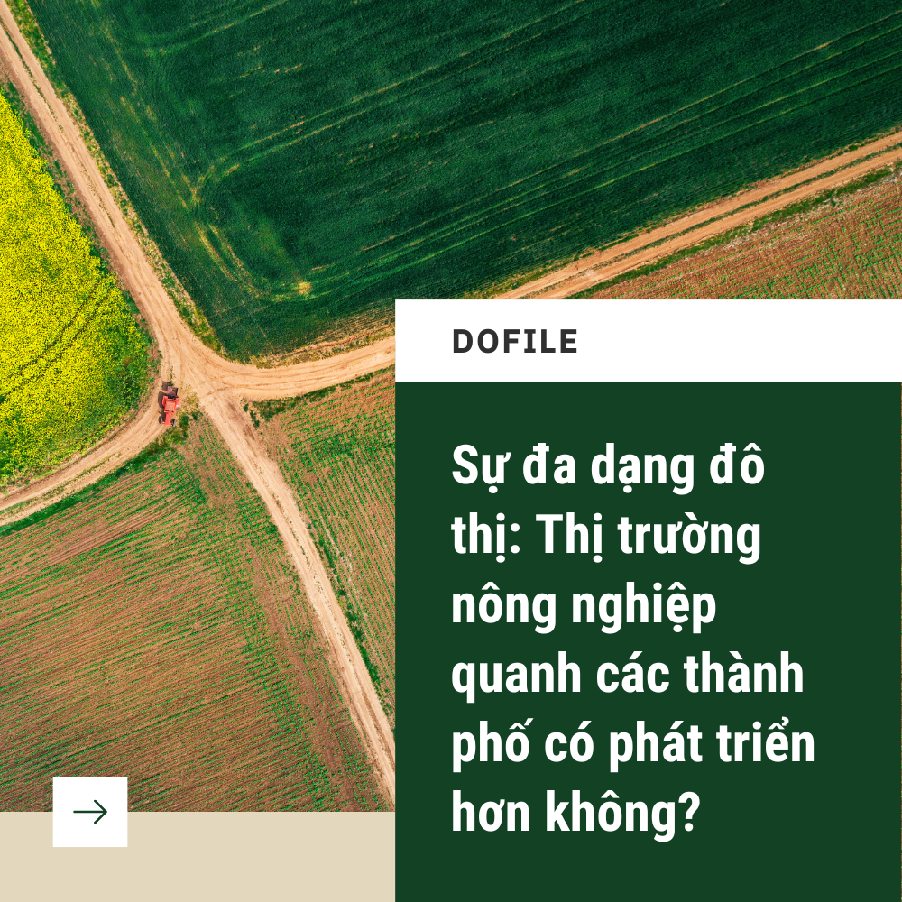 Sự đa dạng đô thị: Thị trường nông nghiệp xung quanh các thành phố có phát triển hơn không?