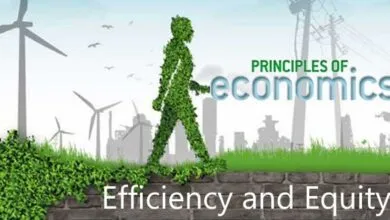 Trắc nghiệm về lý thuyết thị trường hiệu quả