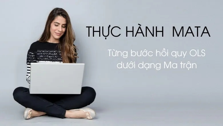 Thực hành Mata - hướng dẫn từng bước hồi quy OLS qua tính toán ma trận trong Mata