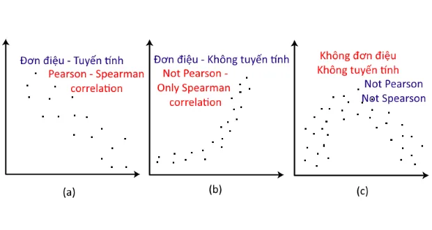 Minh họa tính đơn điệu trong phân tích tương quan