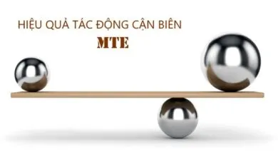 Hiệu quả tác động cận biên chính là hiệu quả tác động trung bình tính cho các đối tượng có sự trở ngại hoặc sự bàng quang trong việc quyết định tham gia