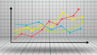 Phân tích tác động dài hạn giữa các chuỗi có mối quan hệ đồng tích hợp qua mô hình PMG/MG bằng câu lệnh xtpmg trên Stata