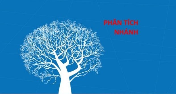 Ước lượng các mối quan hệ sử dụng phân tích nhánh