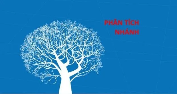 Ước lượng các mối quan hệ sử dụng phân tích nhánh