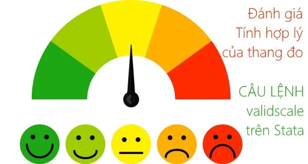 Sử dụng câu lệnh validscale trên Stata để đánh giá tính hợp lí của thang đo khi xây dựng bảng hỏi