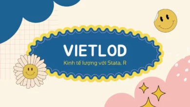Chuyên đề kinh tế lượng